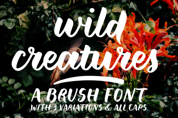 Download Wild Creatures - Wild Collection