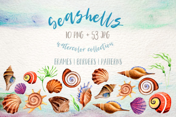 Download Watercolor Summer Beach Seashell Set - Beach Collection