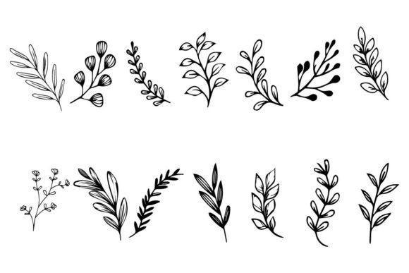 Download Botanical Leaf Wildflower Line Art - Wild Collection
